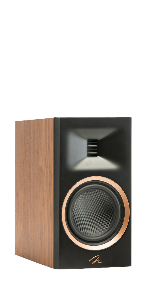 Martin Logan B10
