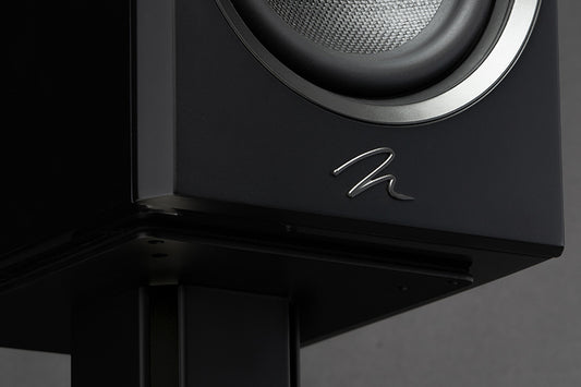 Martin Logan Motion XT B100