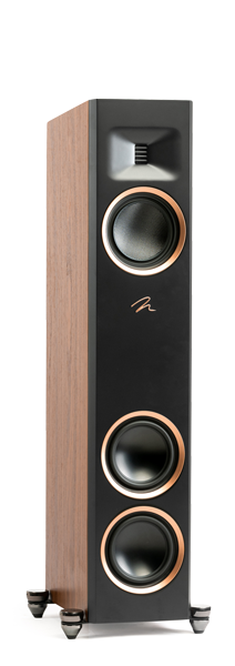 Martin Logan F10