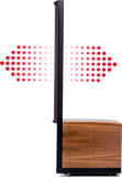 Martin Logan Renaissance ESL 15A Pair